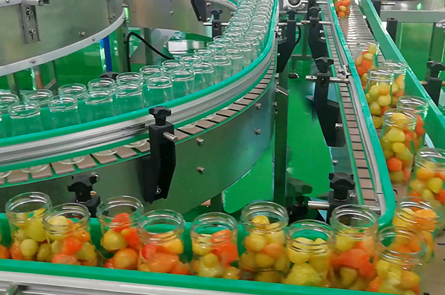 草莓罐頭設(shè)備輸送線